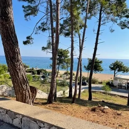 Dina Appartamento Skala (Kefalonia)