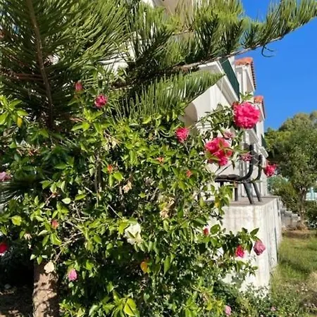 Διαμέρισμα Dina *